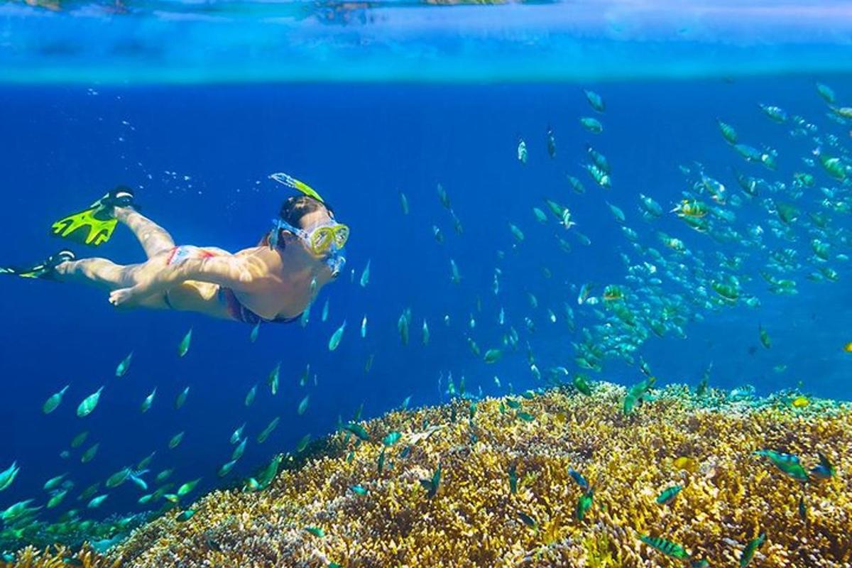 žena plave v oceánu s hejnem ryb