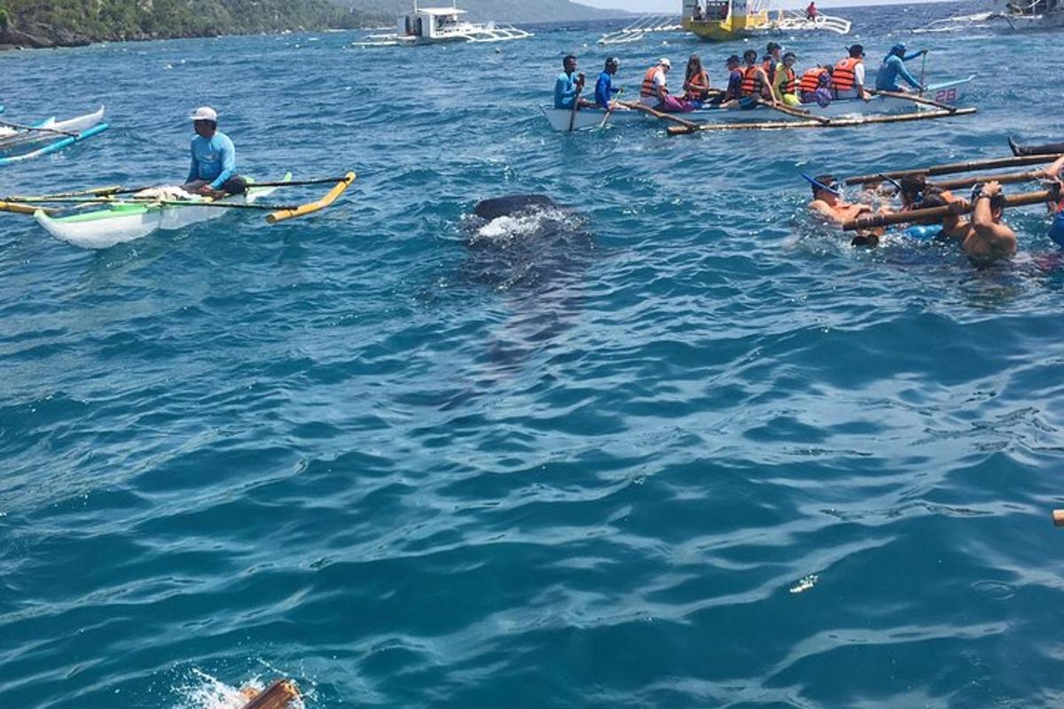 un grup de persones en barques a l'aigua