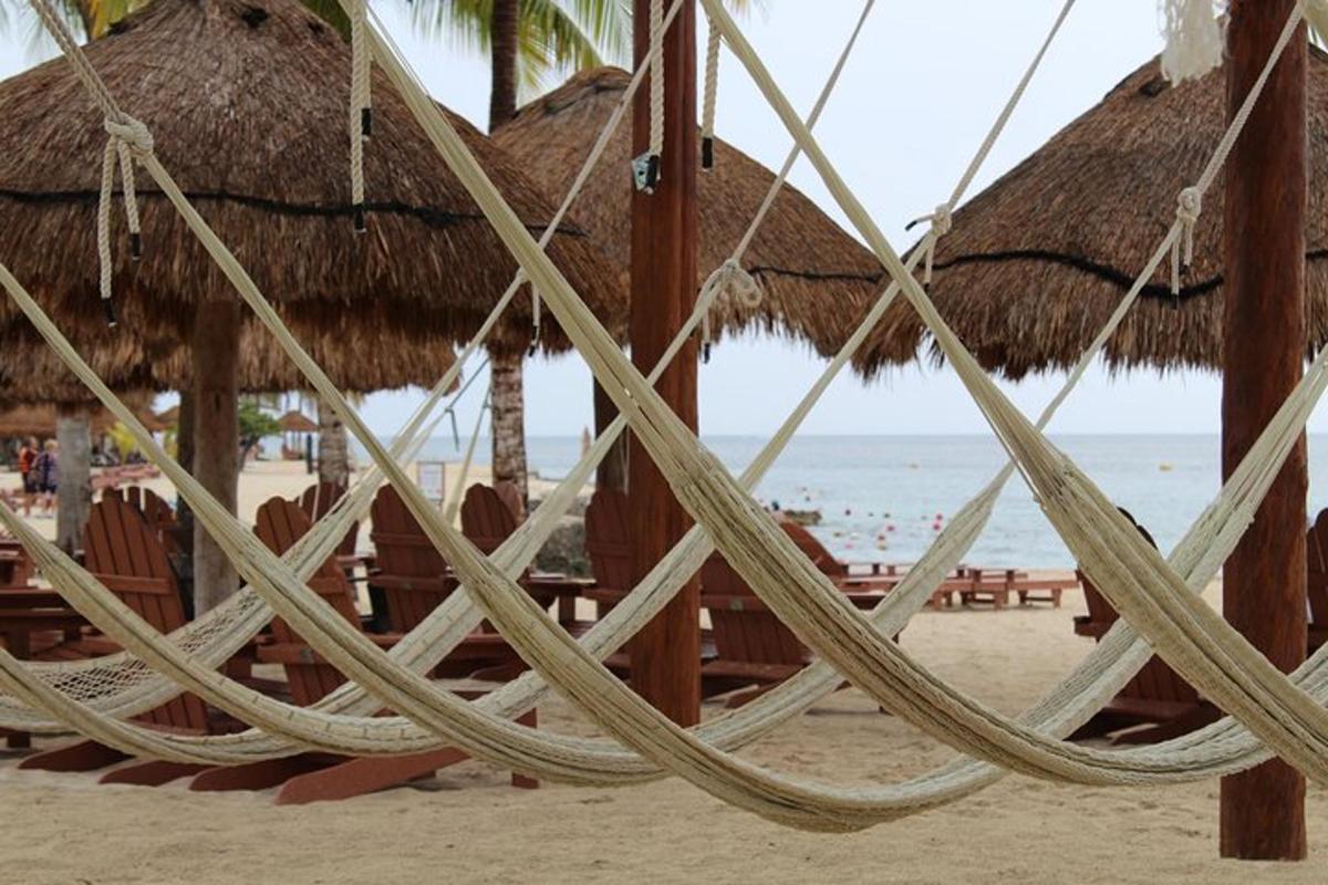 egy csoport szalma napernyő és szék a strandon