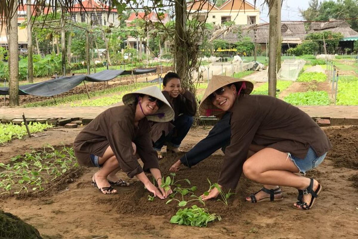 un grup de persones plantant plantes en un jardí