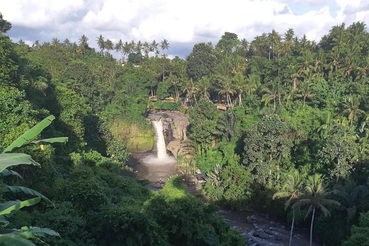 o cascadă în mijlocul junglei