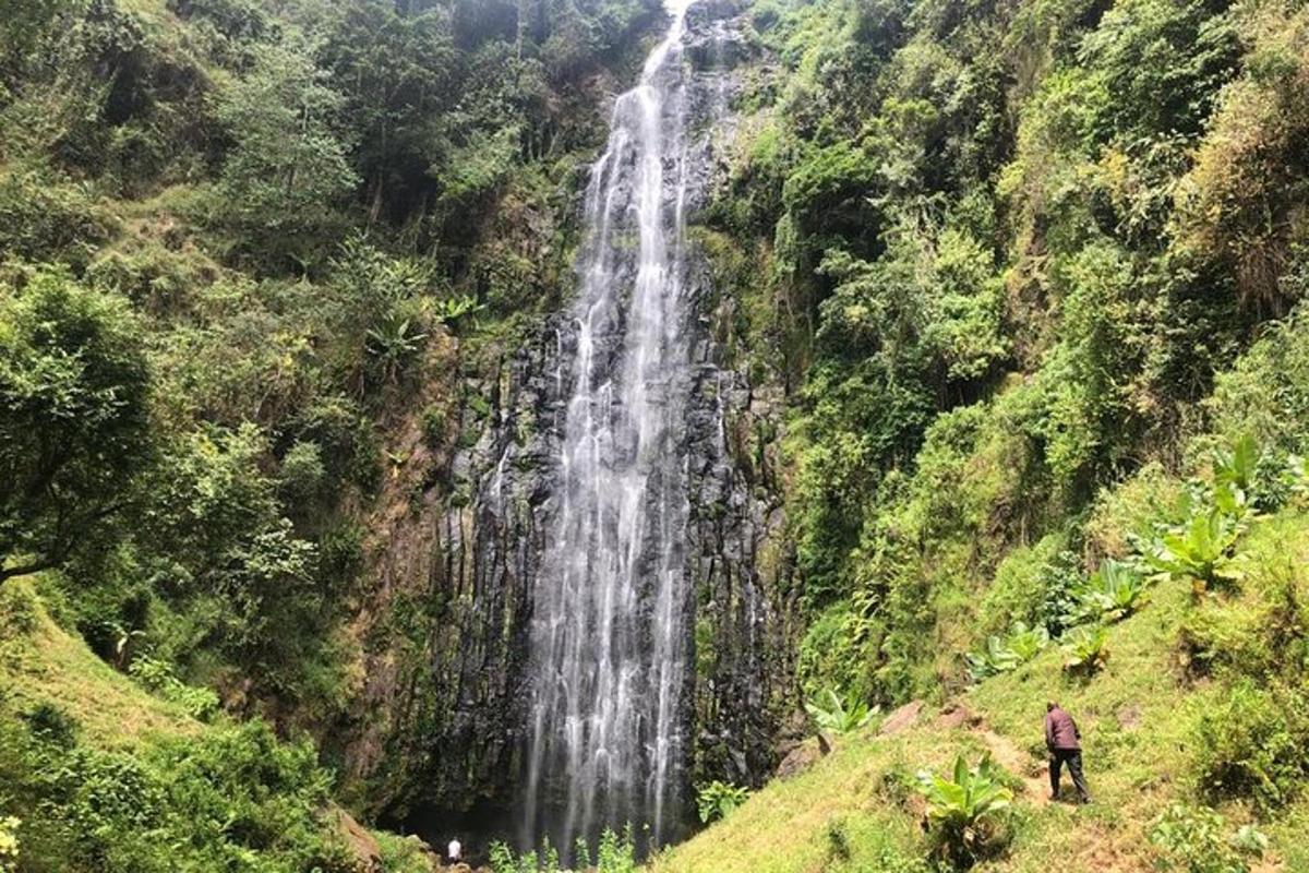 seorang lelaki berdiri di hadapan air terjun
