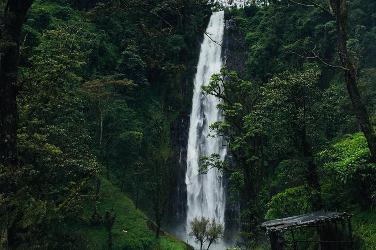 air terjun di tengah-tengah hutan