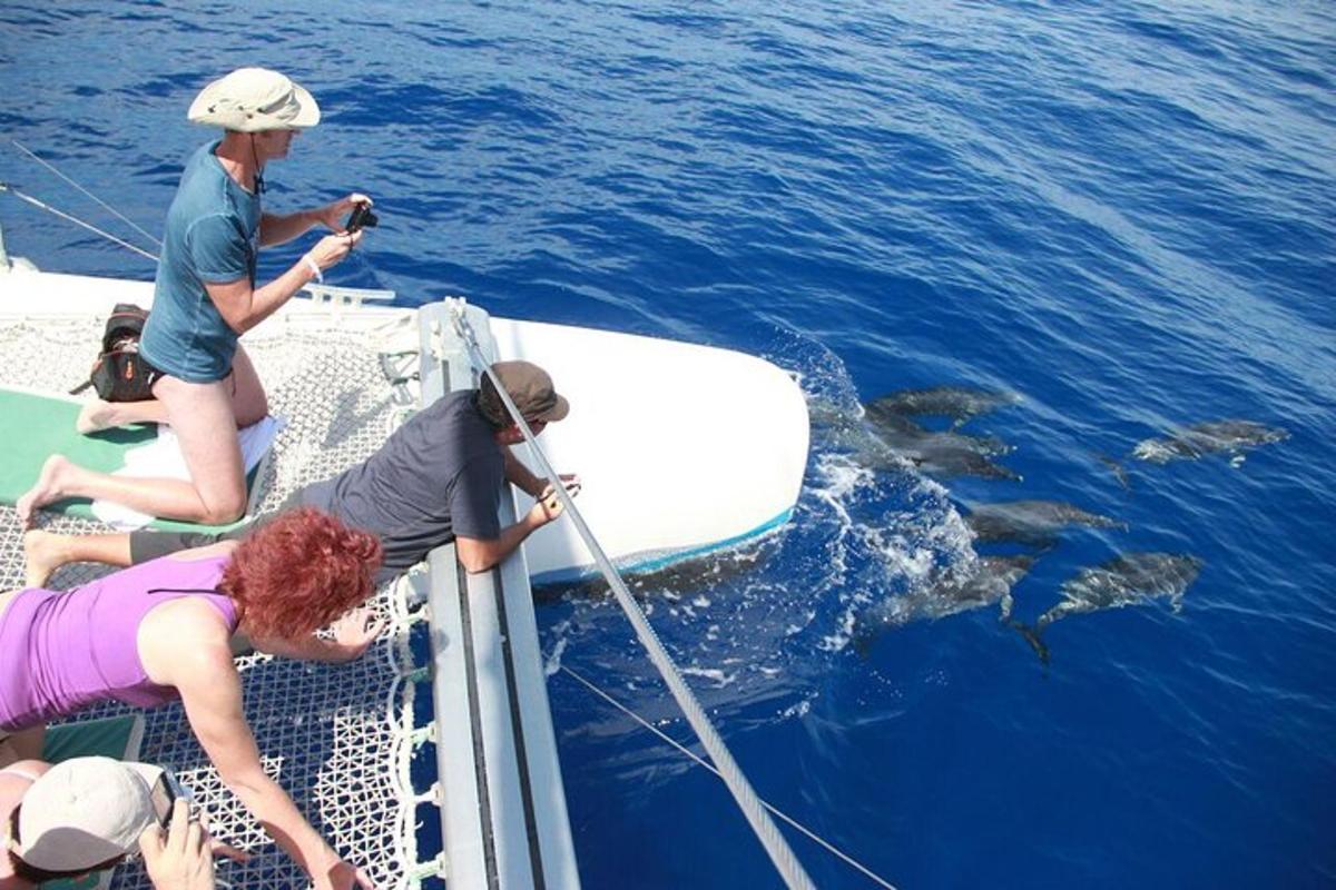 a group of people on a boat looking at a whale