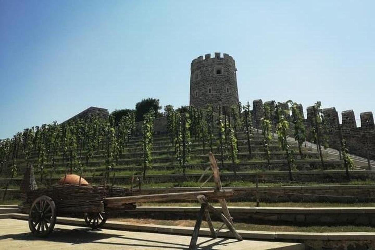 una persona seduta su un carro davanti a un castello