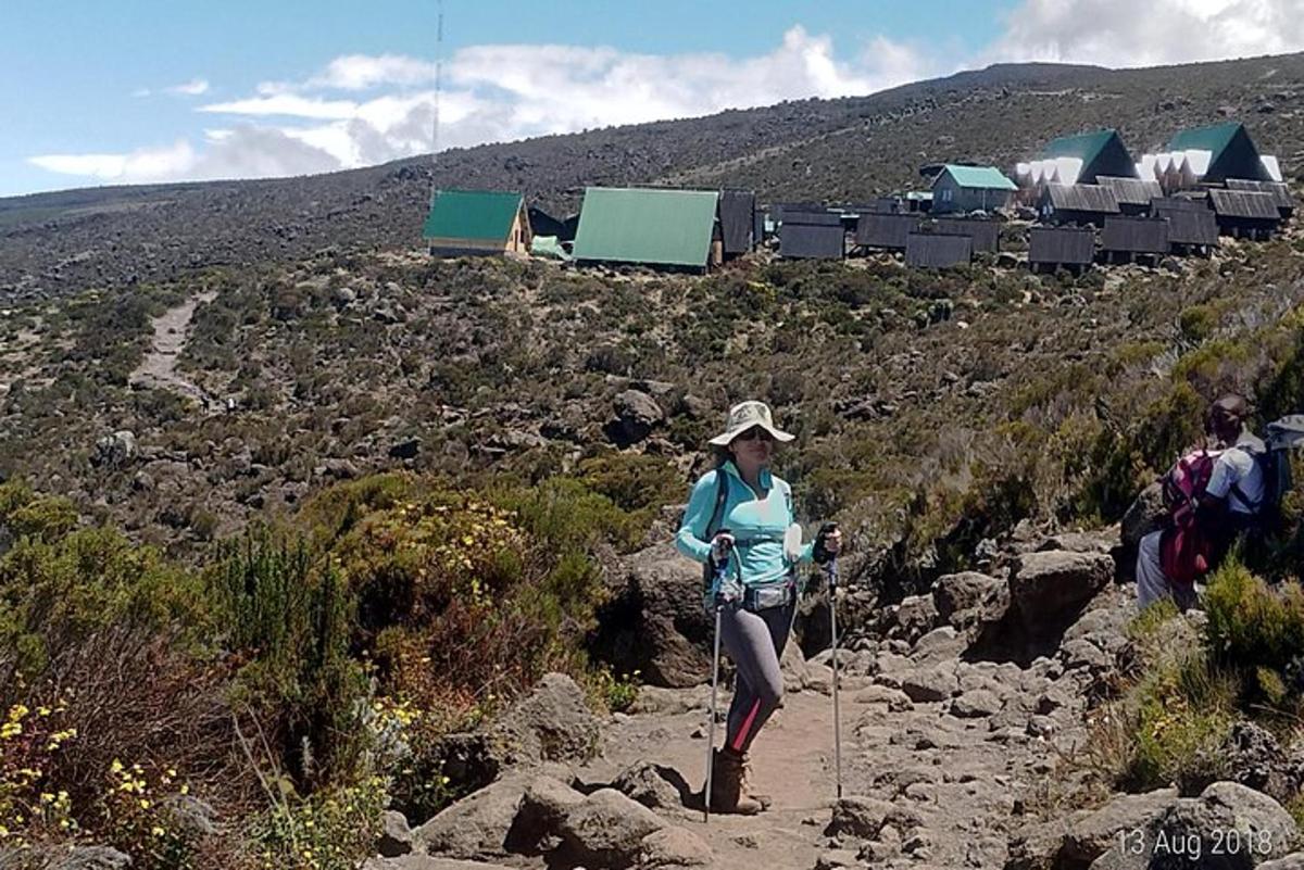kobieta stojąca na górze z kijkami trekkingowymi