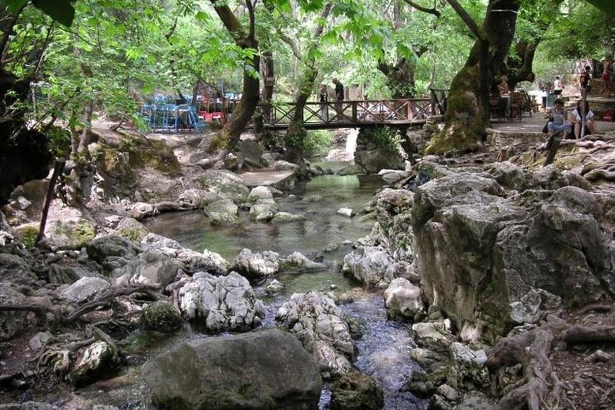 a bridge over a river with rocks and trees
