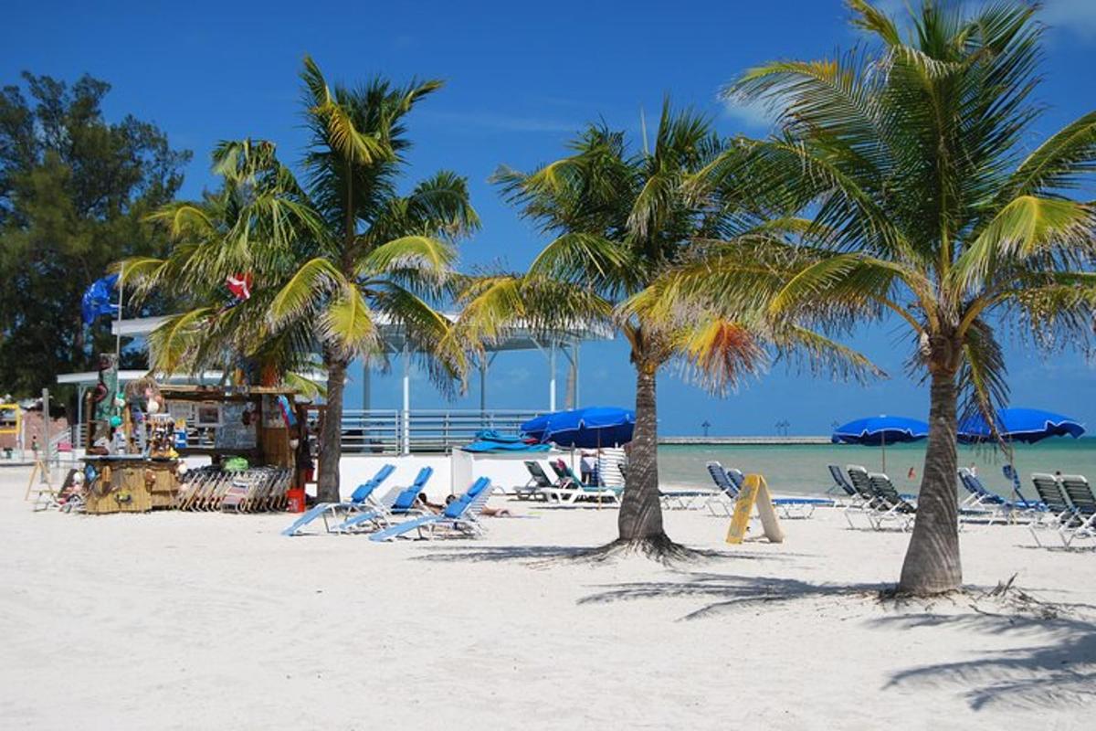 una spiaggia con palme, sedie e un bar