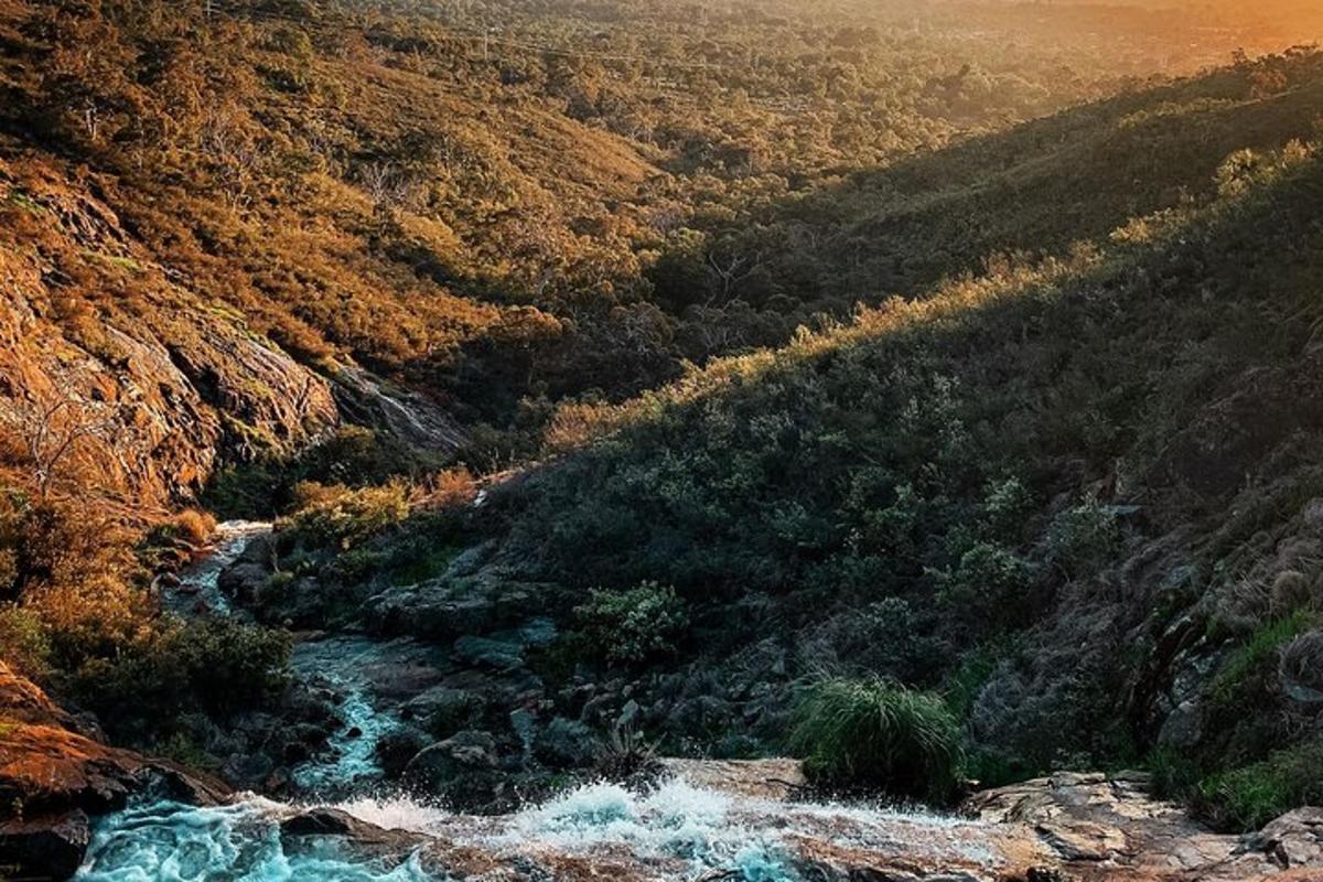 μια θέα ενός βουνού με ένα ποτάμι και δέντρα
