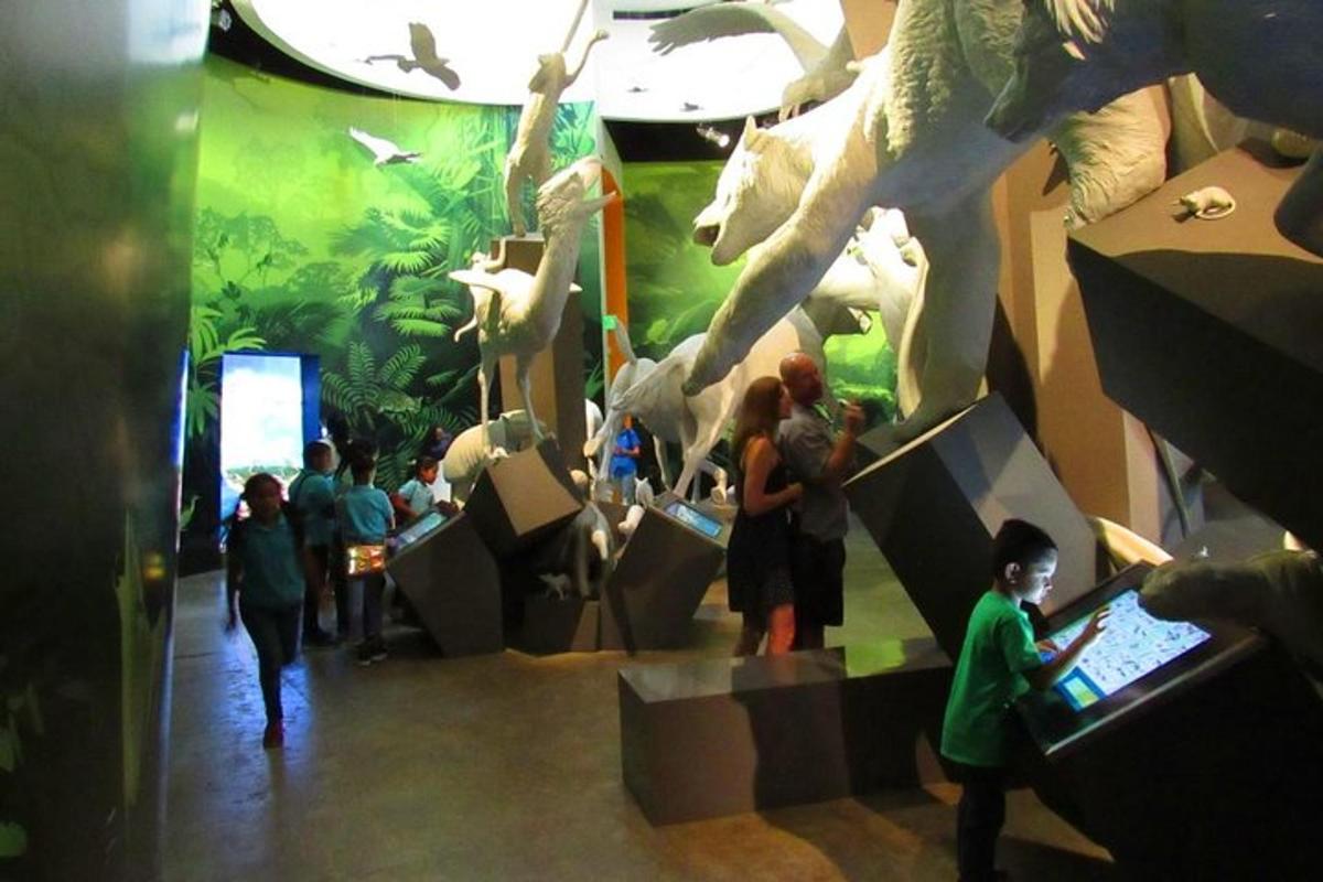 sekelompok orang berdiri di depan pameran dinosaurus