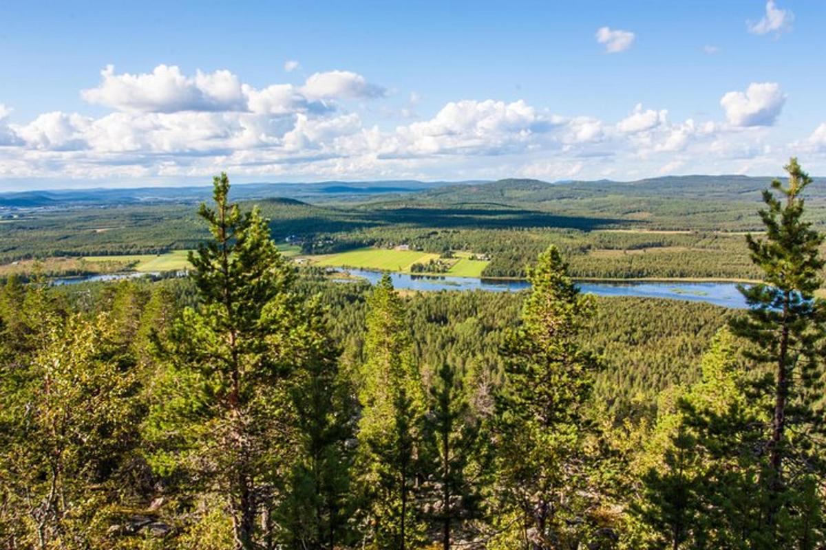 a view from the top of a hill with trees