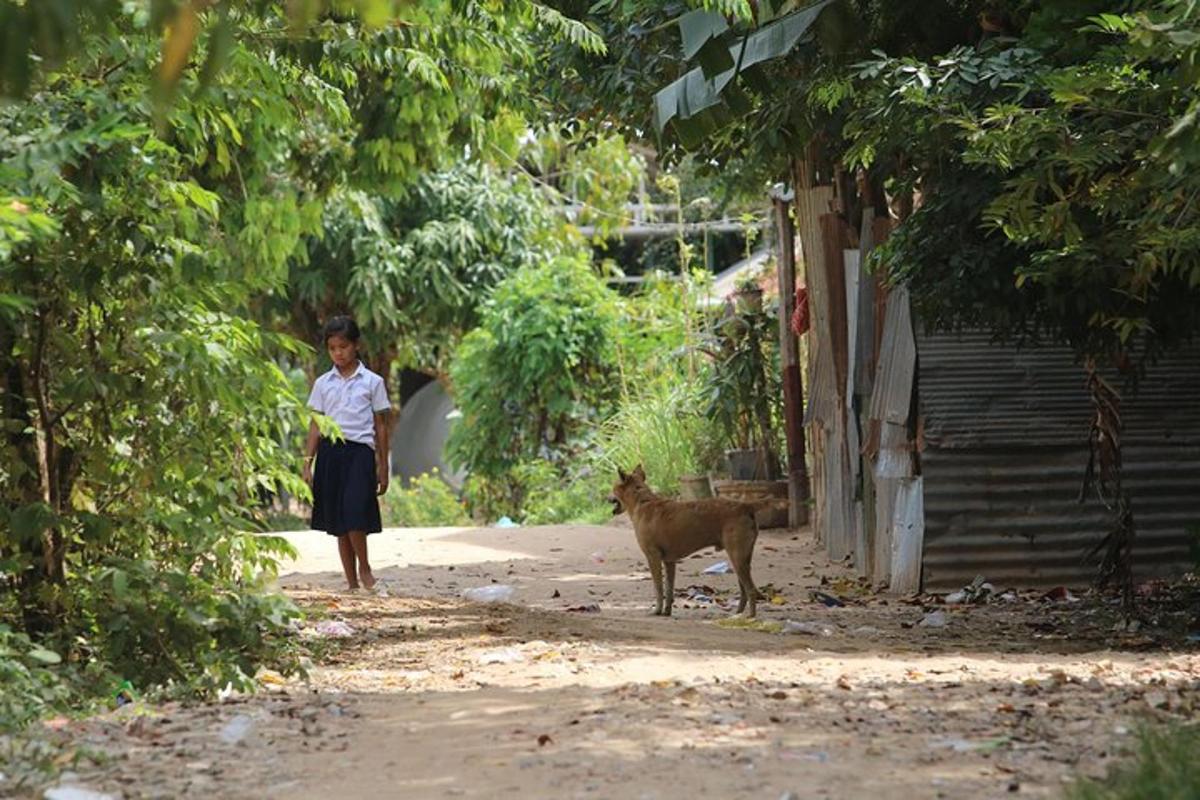 một người phụ nữ và một con chó đang đi bộ trên phố