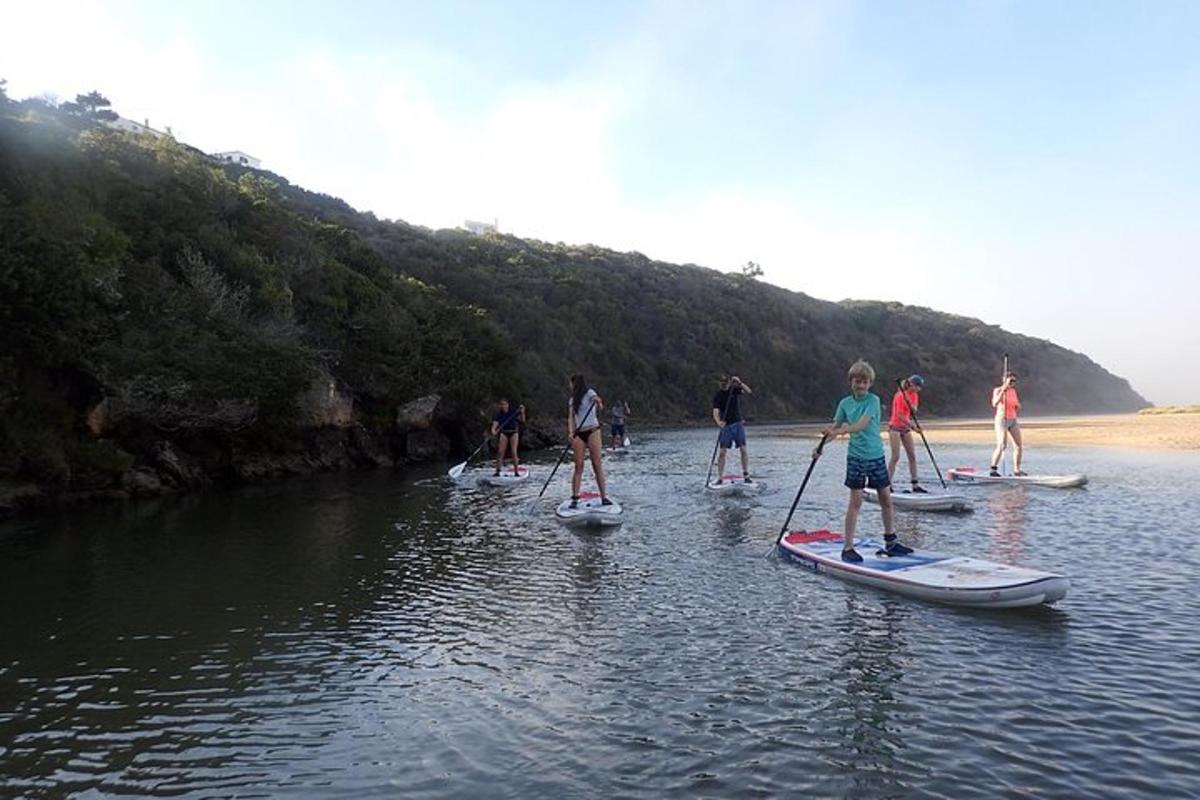 skupina lidí na paddleboardech ve vodě