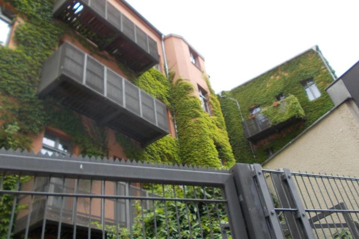 um edifício com hera crescendo na lateral