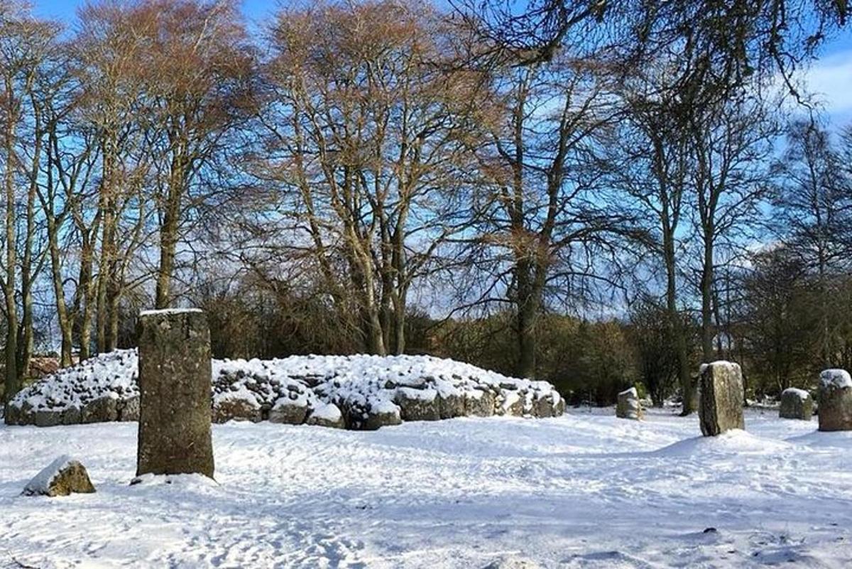 en snødekt park med steiner og trær