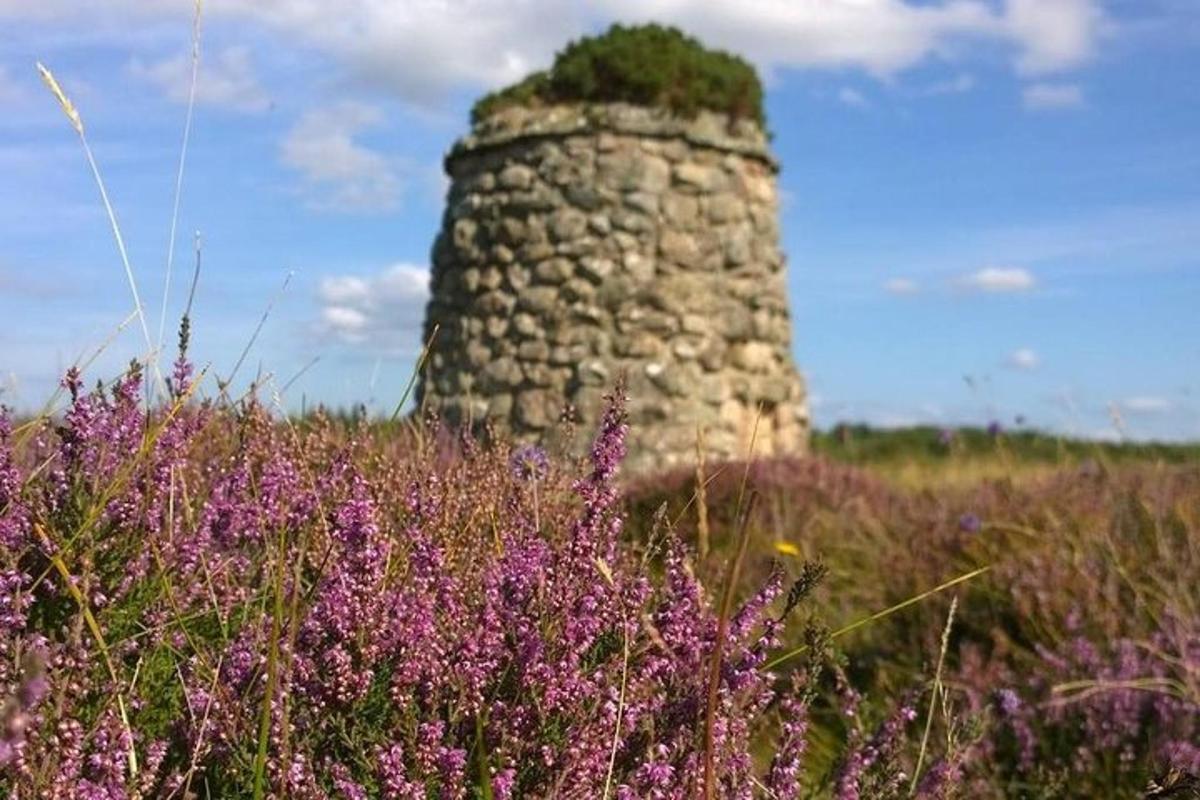 et steintårn i et felt med lilla blomster