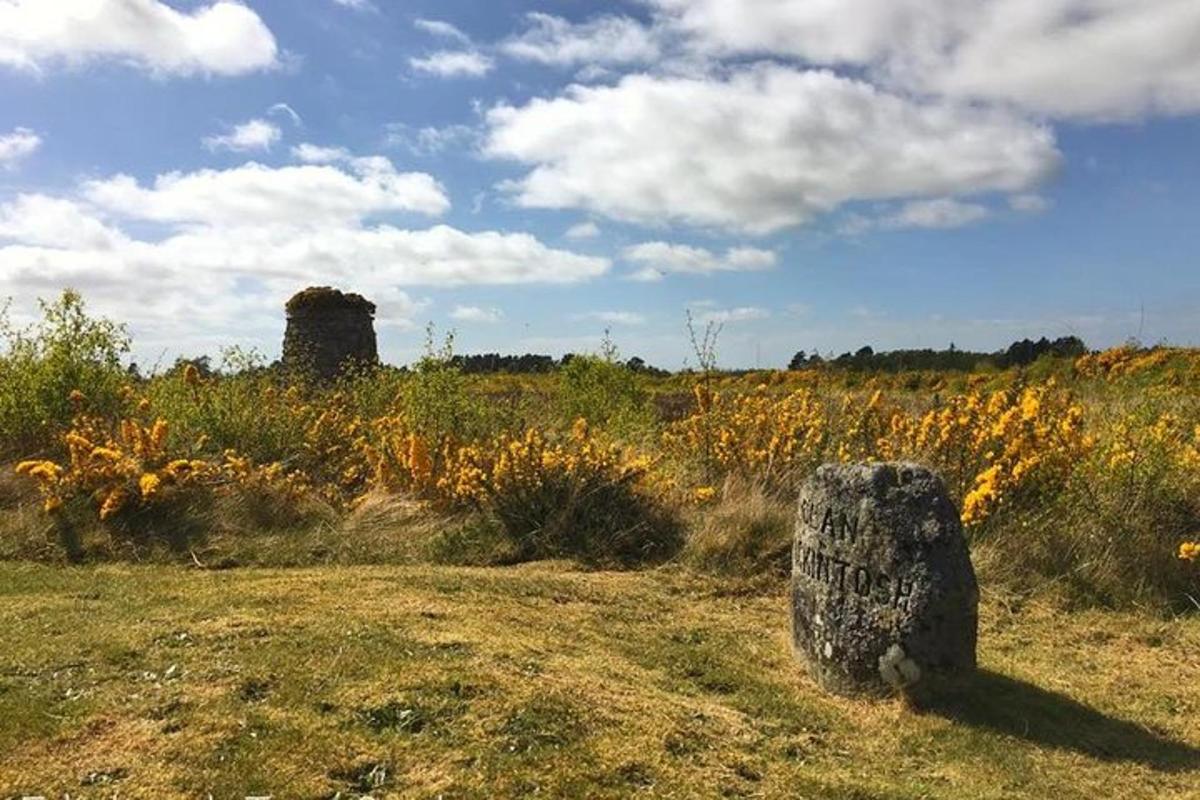 un campo di erba alta con una roccia in primo piano