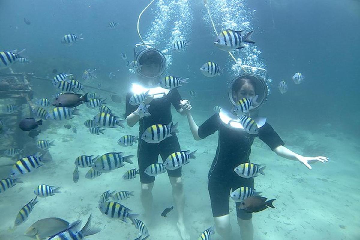 tre donne sono in piedi nell'acqua con i pesci