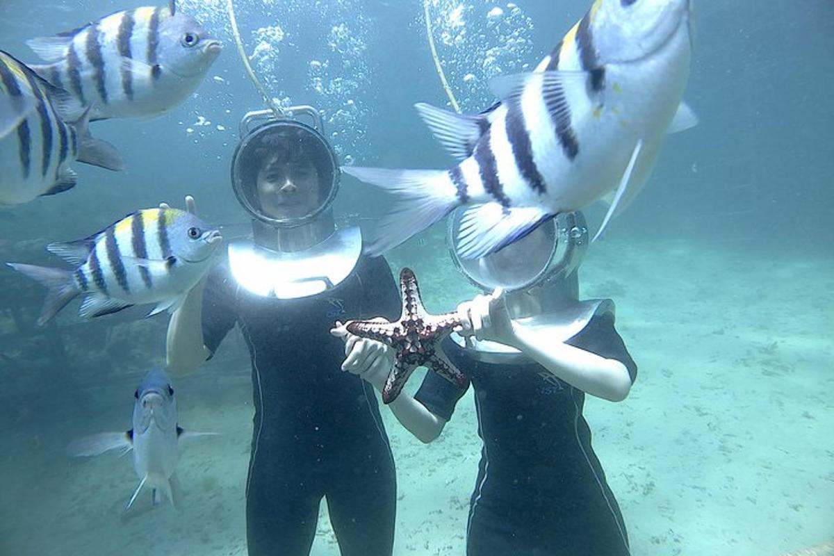 Una mujer bajo el agua con peces en el agua.