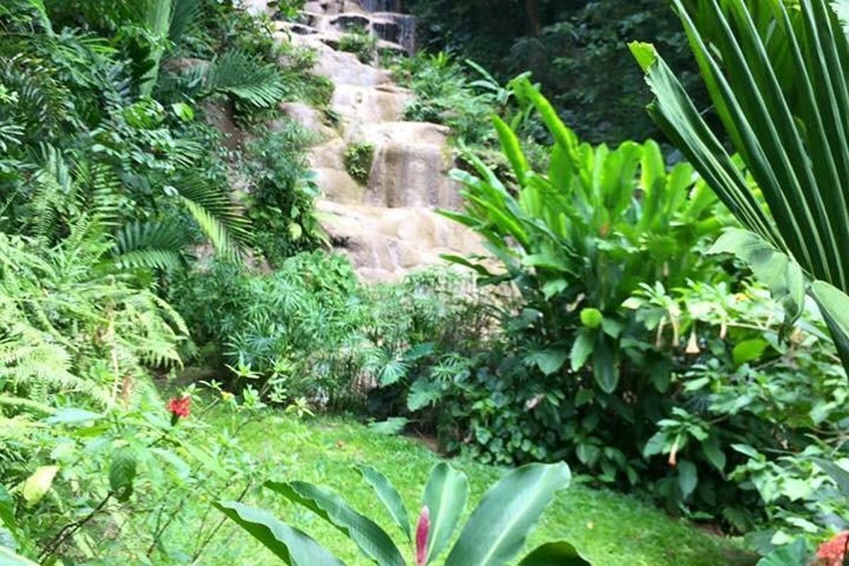 um jardim com um caminho de pedra no meio