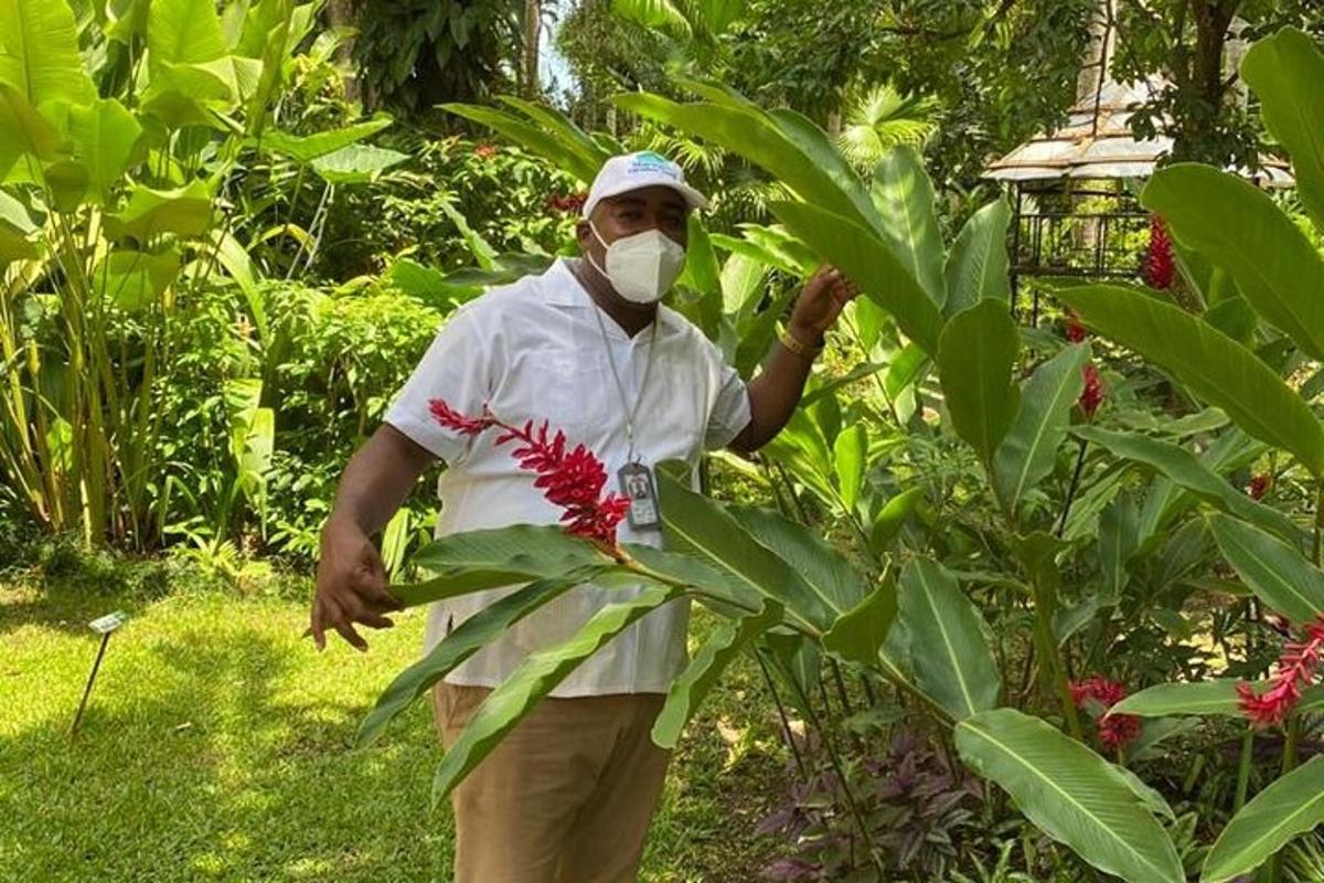 um homem usando uma máscara em pé ao lado de uma planta