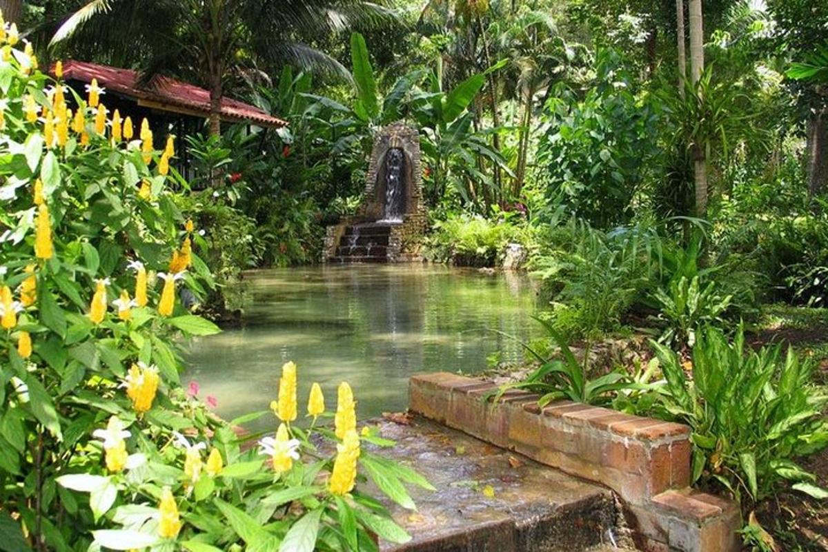 uno stagno in mezzo a un giardino con fiori
