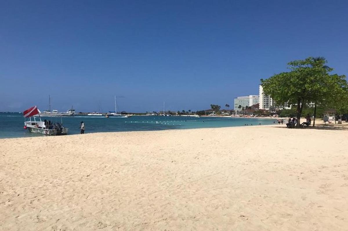 egy strand egy fával és egy csónakkal a vízben