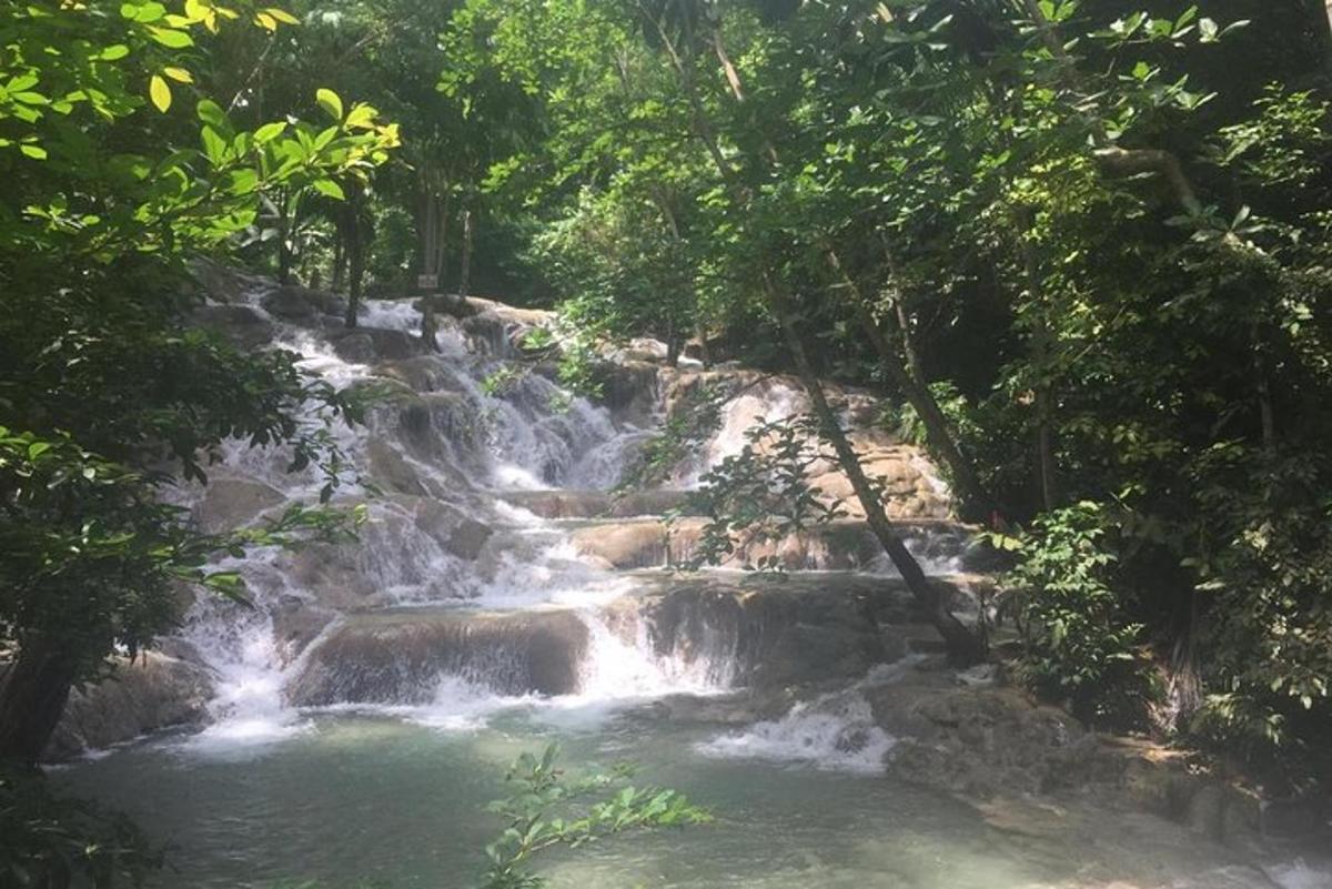 una cascada en medio de un bosque