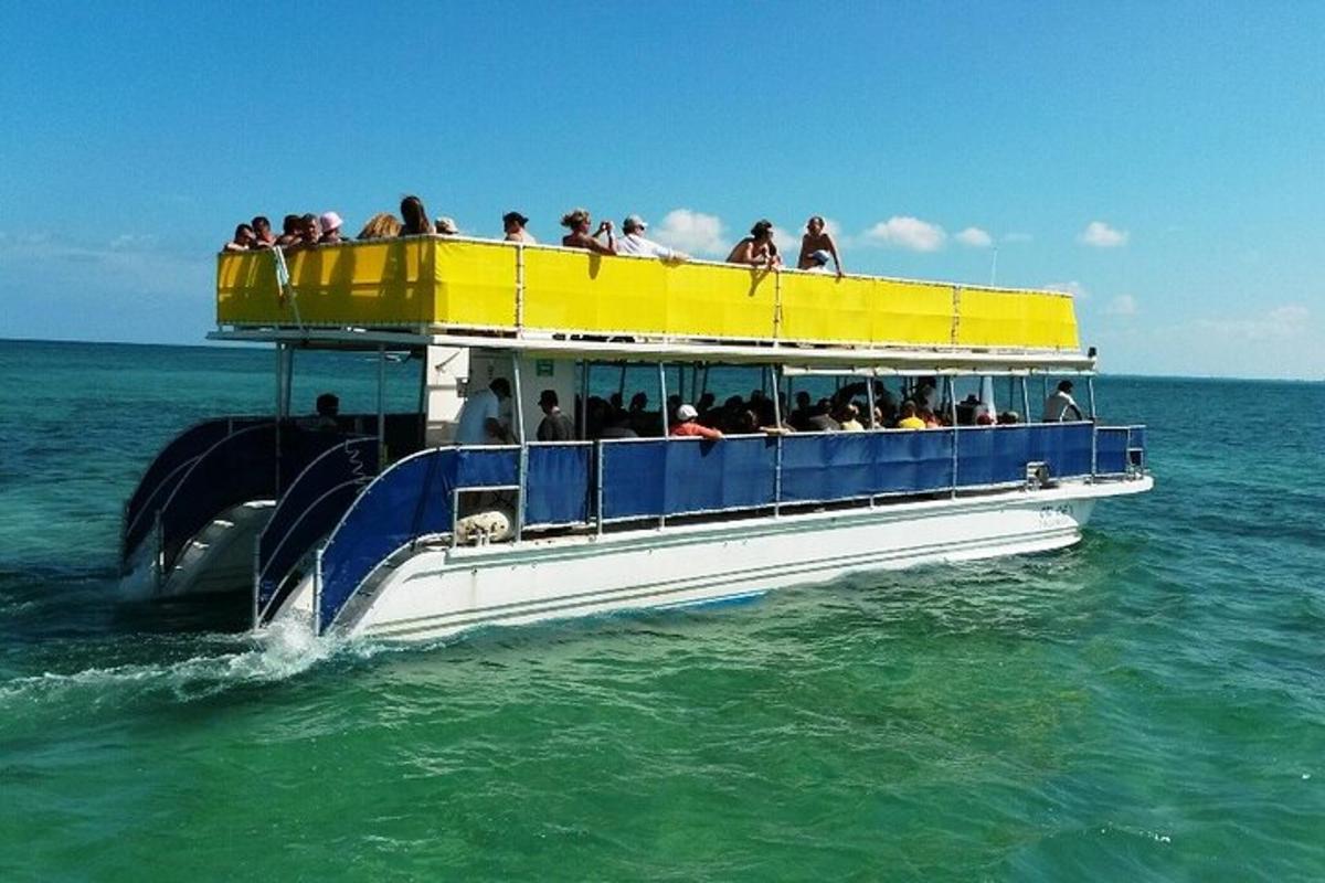 a boat filled with people and a dolphin on the water