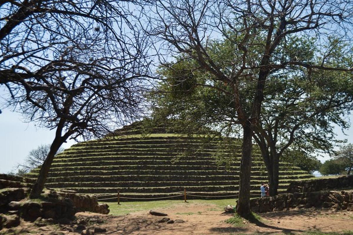 a large amphitheater with trees in front of it