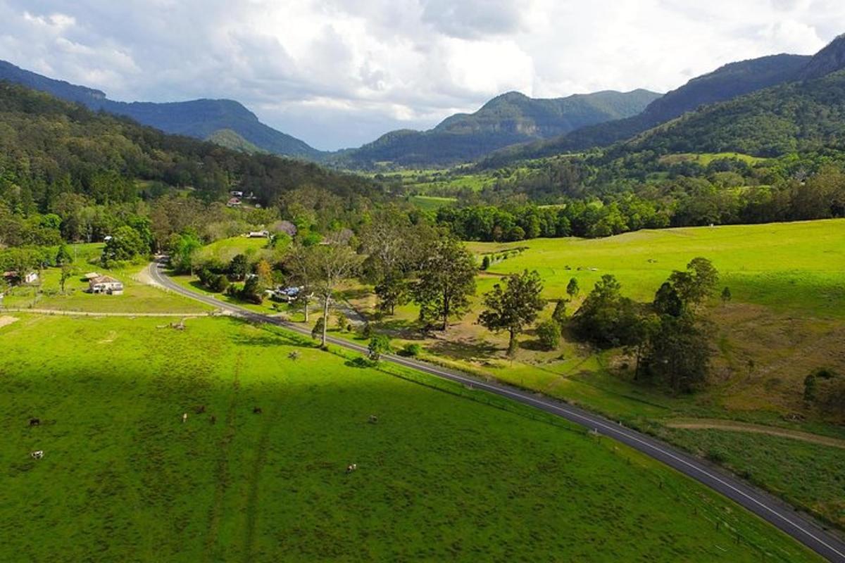 an aerial view of a green field with a road