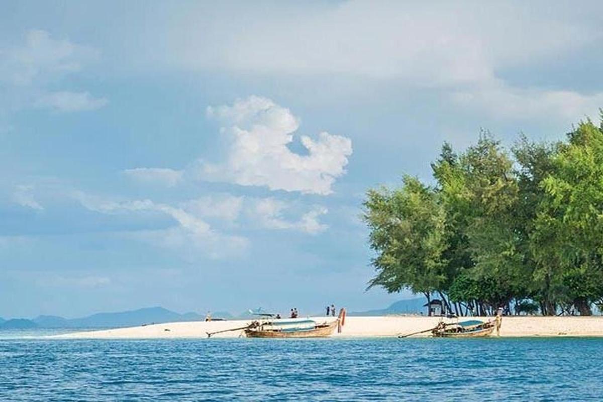 пляж с деревьями и двумя лодками в воде
