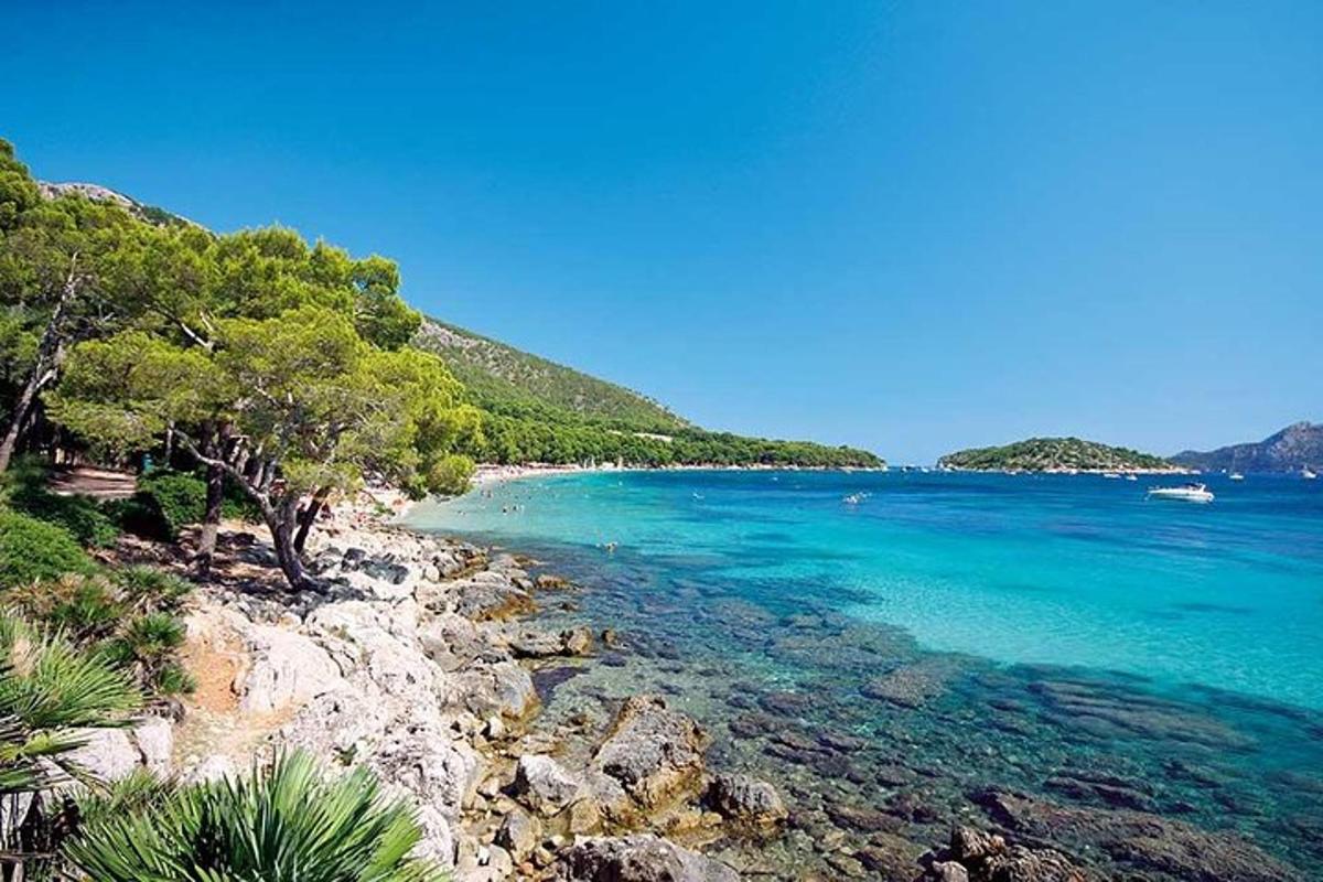una platja amb aigües blaves i arbres a la vora