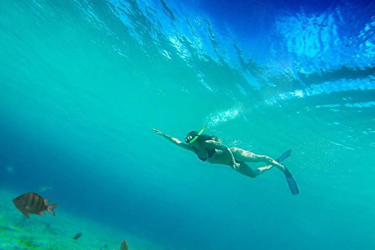 seorang wanita sedang berenang di dalam air bersama seekor ikan
