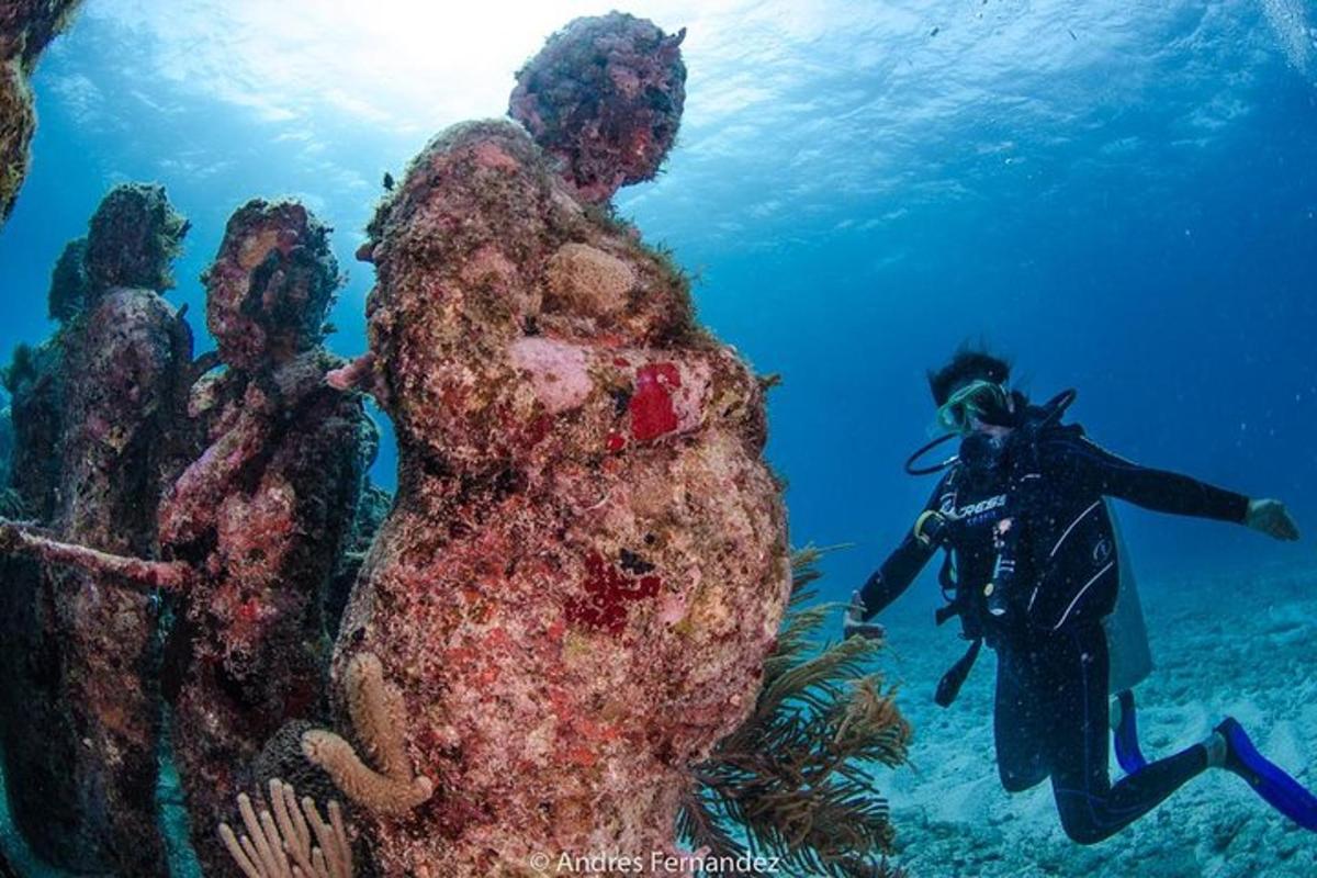 a person in the water next to a reef