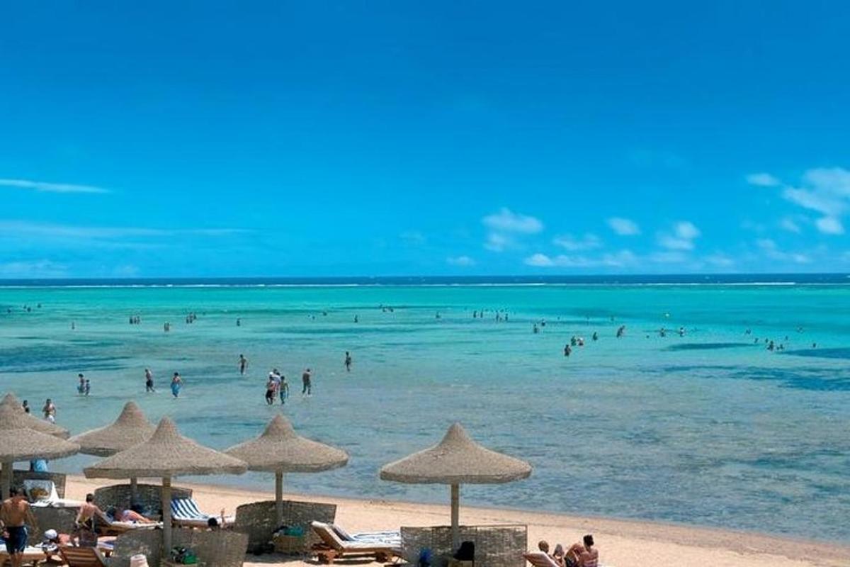 um grupo de pessoas nadando no oceano em uma praia