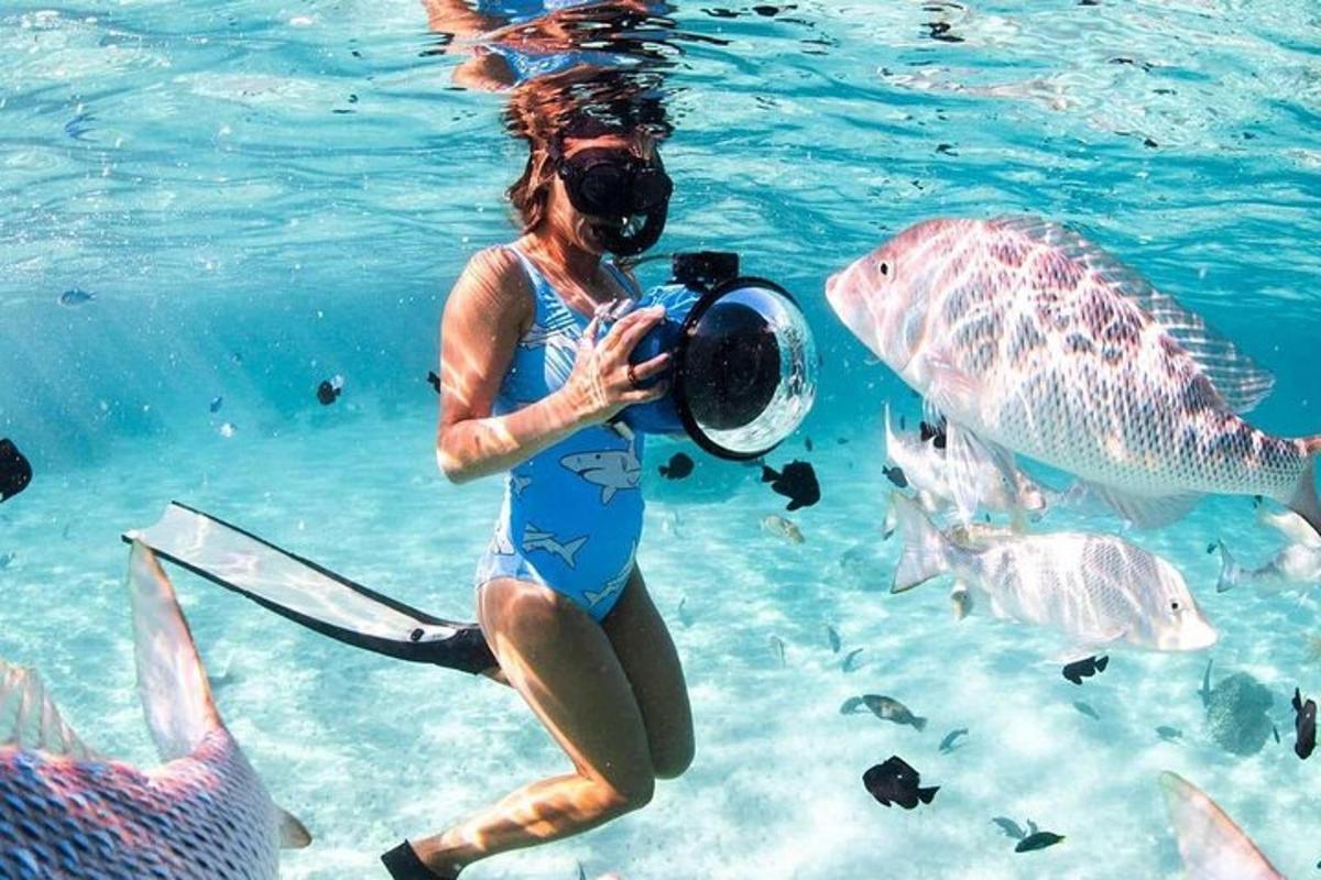 Una mujer tomando una fotografía de un pez en el agua.