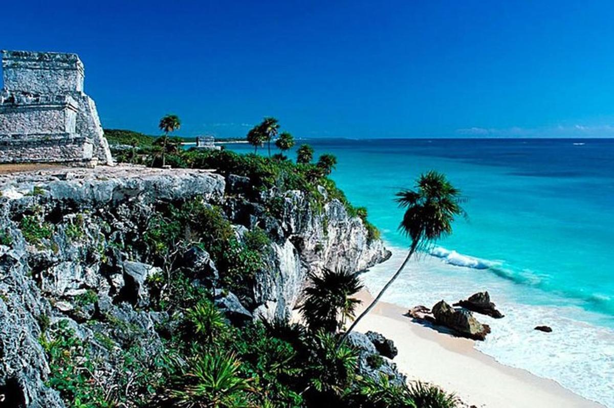 pantai dengan pokok palma dan lautan