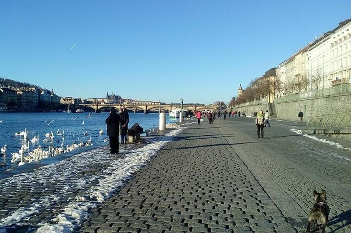 skupina lidí jdoucích po chodníku u vody