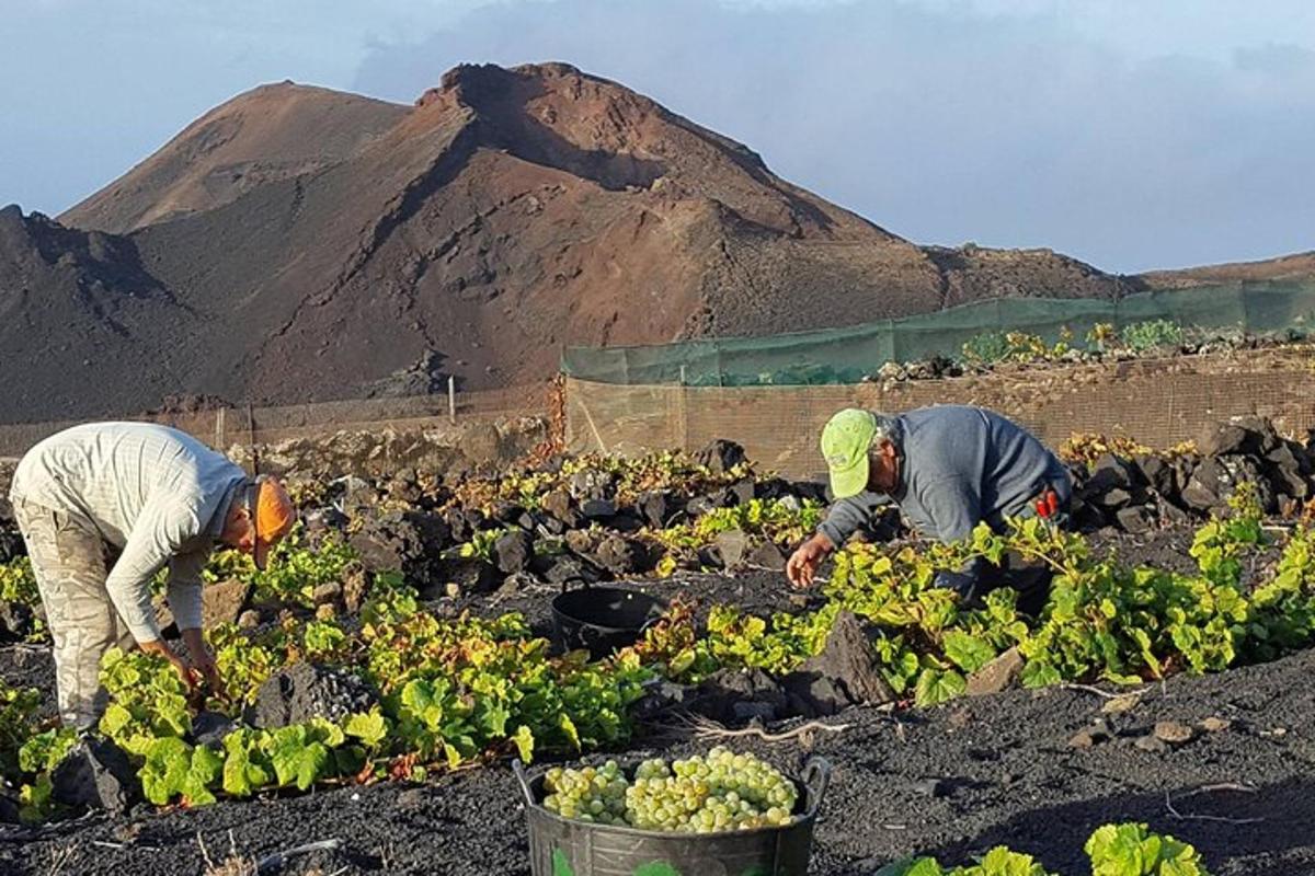 Lankytinos vietos ar pramogos nuotrauka numeris 3