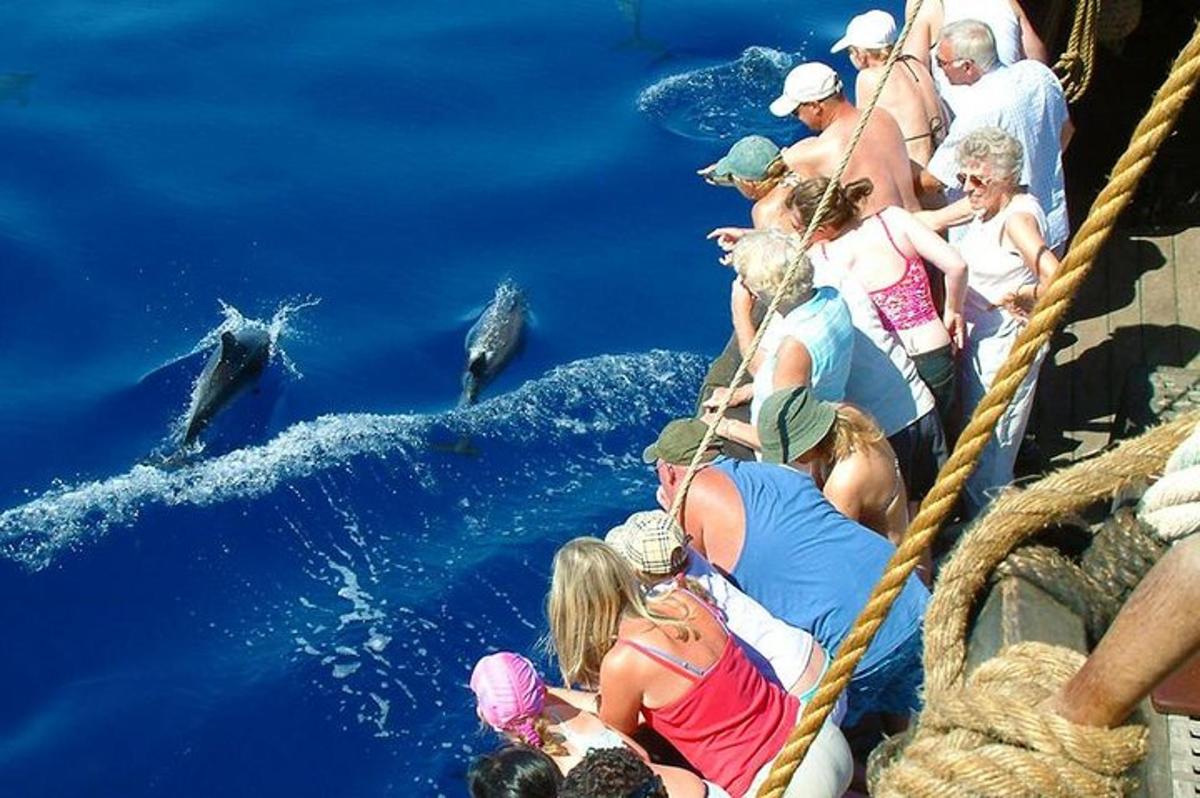 Un grupo de personas observando delfines en un barco.