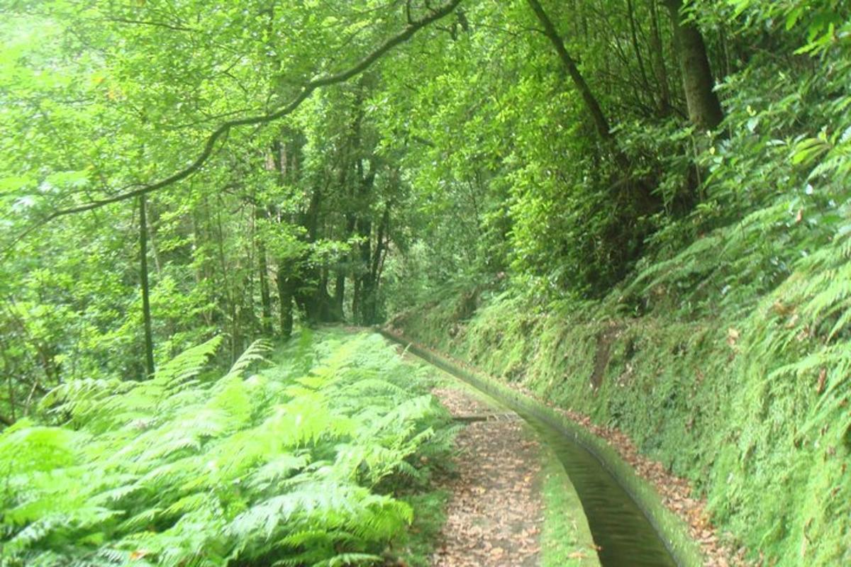 緑豊かな森の中の線路