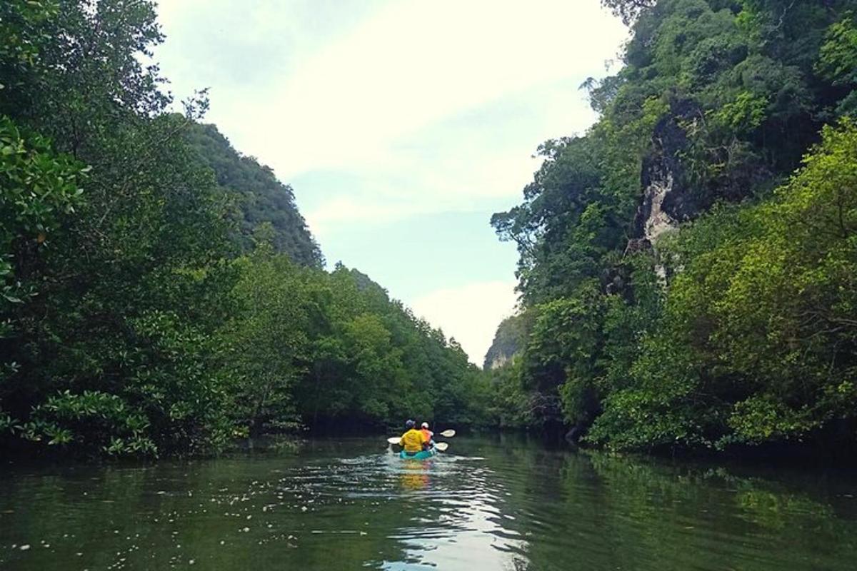 una persona in kayak in un fiume in una foresta