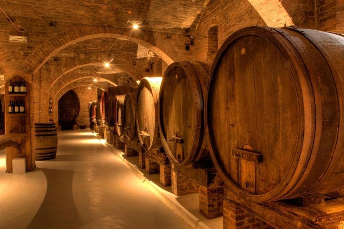 una filera de bótes de vi en un celler