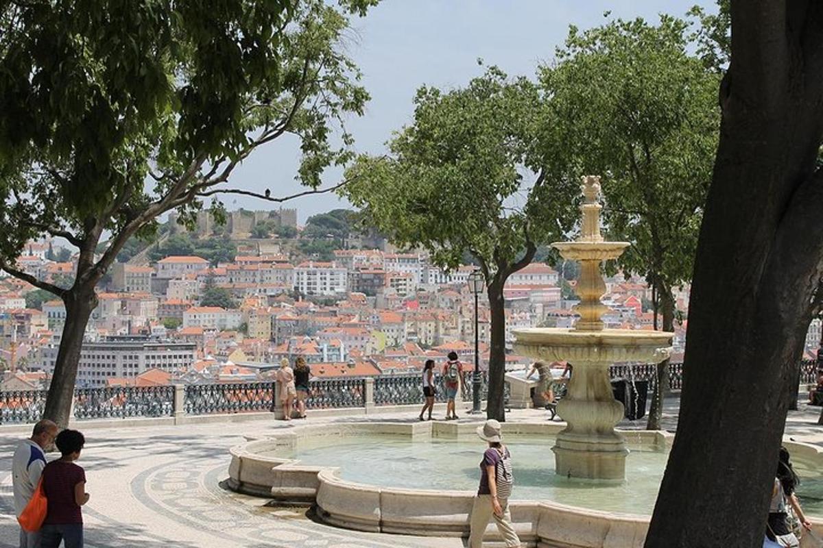 una fontana in un parco con vista sulla città