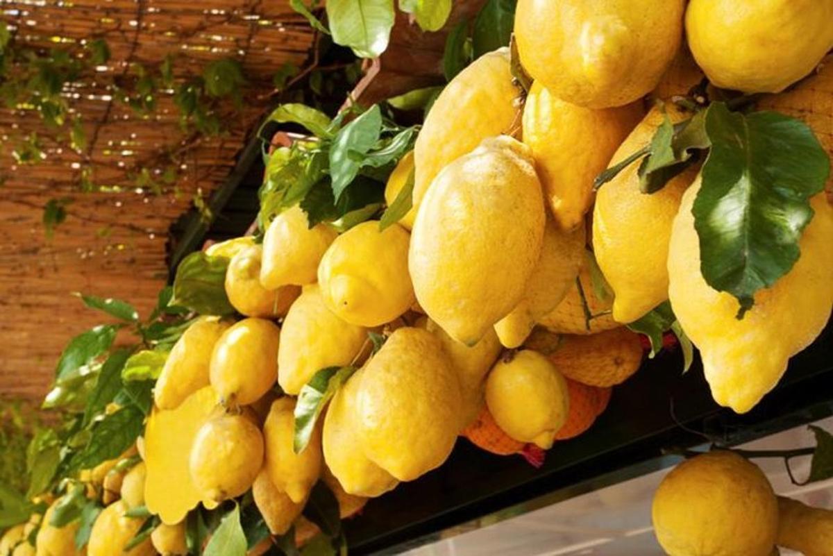 o grămadă de lămâi galbene atârnate pe perete