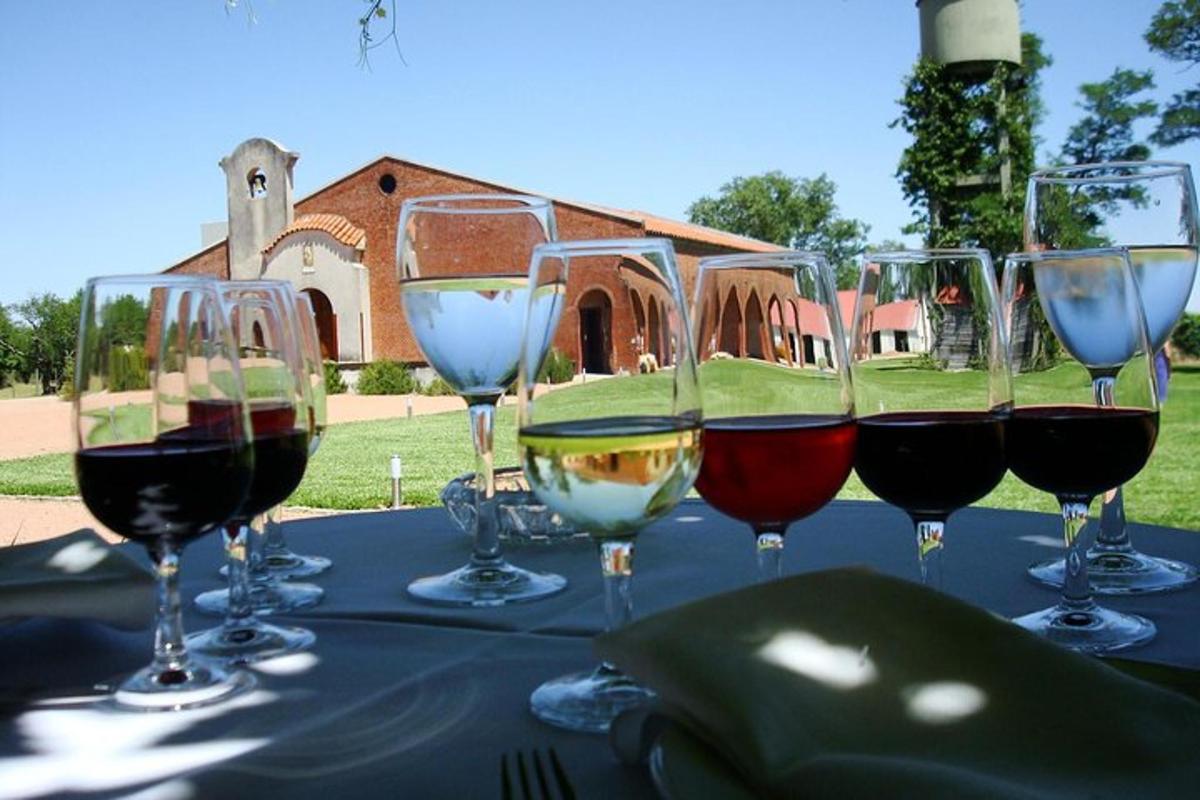 um grupo de taças de vinho sobre uma mesa
