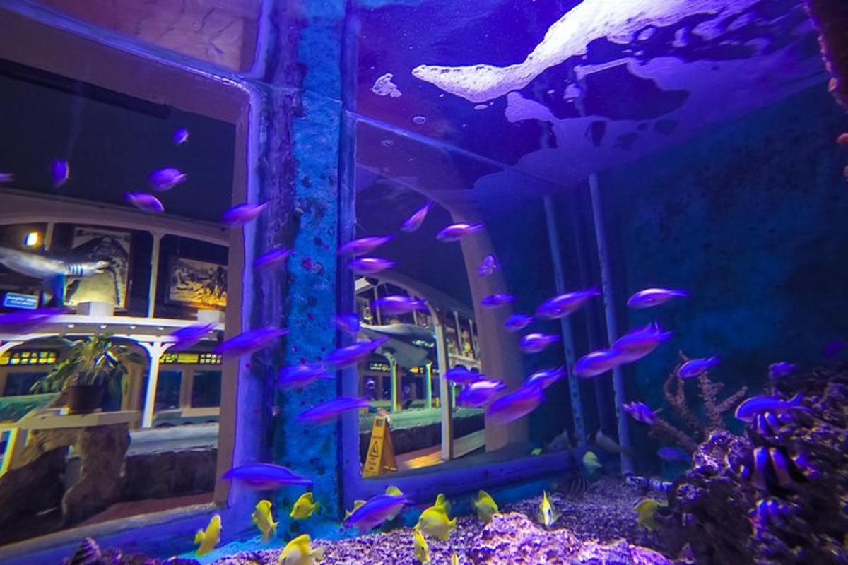 Attraction picture 4