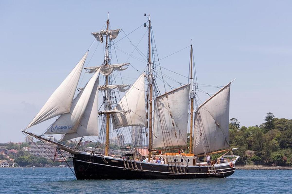 Sydney Harbour Tall Ship Afternoon Cruise logo