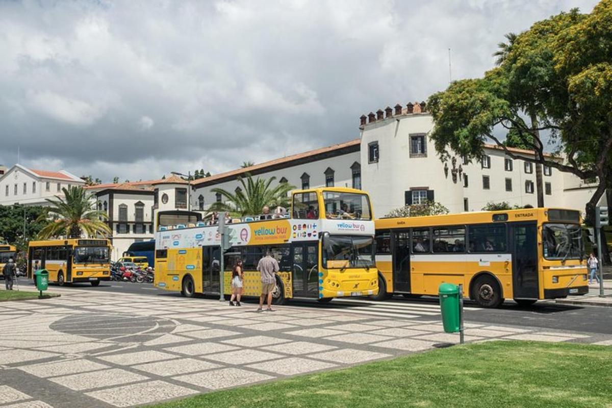 un grup d'autobusos grocs aparcats en un aparcament